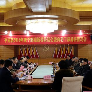 平南县经济发展新突破,县域发展新动力与地方经济新篇章报道