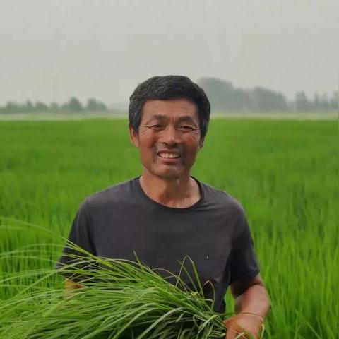 天津小麦价格行情分析及预测,多重因素影响,总体平稳。