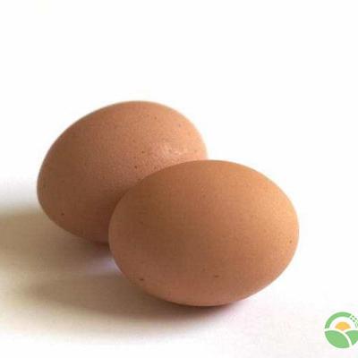 今日蛋价走势分析及最新价格表,市场稳中有涨趋势明显