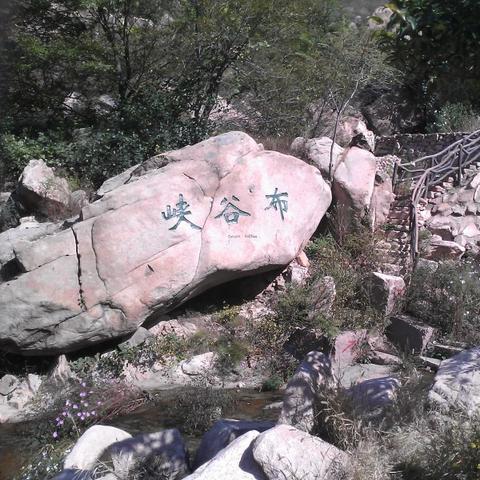 临沂物流头条网实时更新行业资讯,汇聚当地物流行业动态与趋势