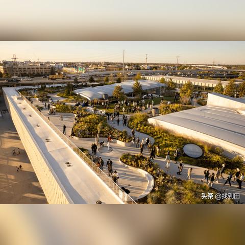 全球最大农场公司排名及国家归属概览