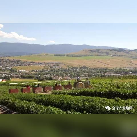 全球最大农场公司排名及国家归属概览