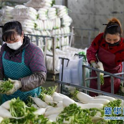 潼南区疫情最新动态，关注官方消息，共同抗击疫情