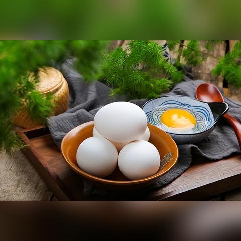 新乡鹅与鹅蛋最新价格动态，受多种因素影响波动，联系当地获取最新信息。