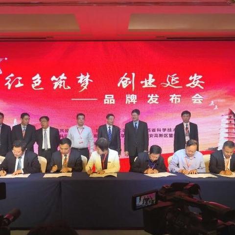 今日头条创业团队迎挑战,积极寻求新突破与创新发展路径