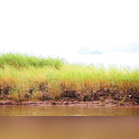 今日岳阳头条最新,岳阳日报今天头条2月18日