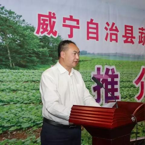 通海菜价今日行情最新消息,通海蔬菜介绍