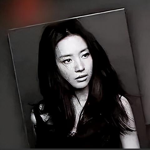 董洁节目控诉视频大全最新,董洁vlog