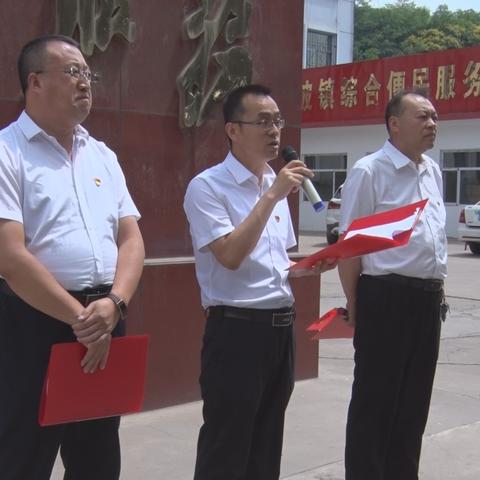 桃红坡镇新闻头条,桃红坡镇党委书记王金荣