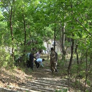 桃红坡镇新闻头条,桃红坡镇党委书记王金荣