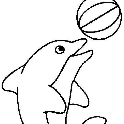 世界上的十大海洋排名,世界十大海洋动物排名