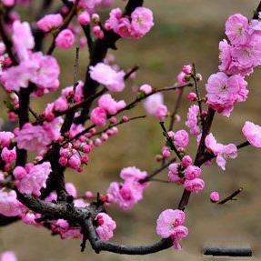 世界上前20名富豪排名,世界前10名富豪