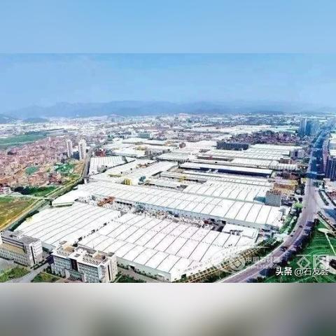 平阳水头疫情新闻头条,平阳水头疫情新闻头条视频