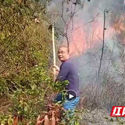 新田今日火灾情况最新,新田县山火