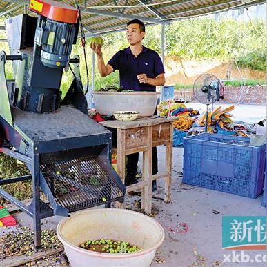 廉江和平新闻头条,广东廉江新闻头条