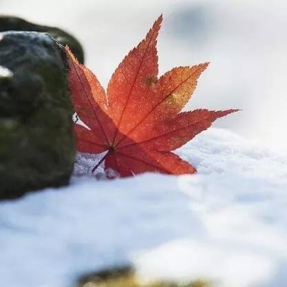 今日泰安最新消息,泰安今日天气预报最新消息