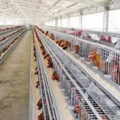 世界利润500强排名,世界500强利润最高的企业