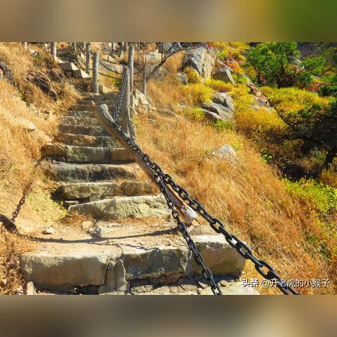 青岛小珠山最新消息今日,青岛小珠山旅游攻略