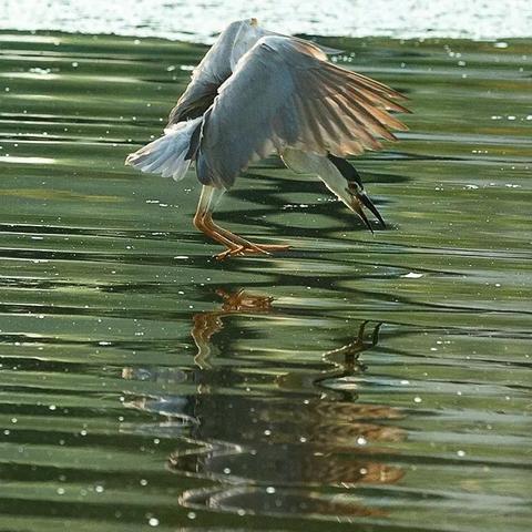 芜湖大江新闻头条,今日芜湖大江晚报