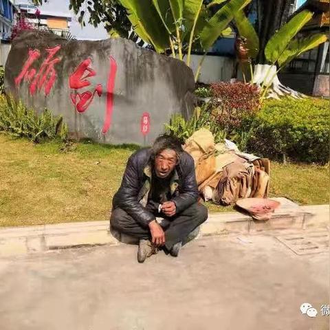 遮放镇今日头条最新消息,遮放遮告