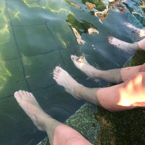 温泉直播广州视频大全最新,温泉现场