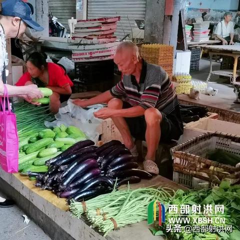 今日最新菜价查询,2021今日菜价查询价目表