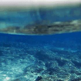 黄金洗浴团购优惠价格表,多样套餐满足各类需求