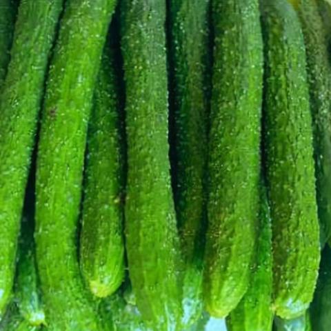 杭州大姐租房信息网,最新房源动态与全方位服务