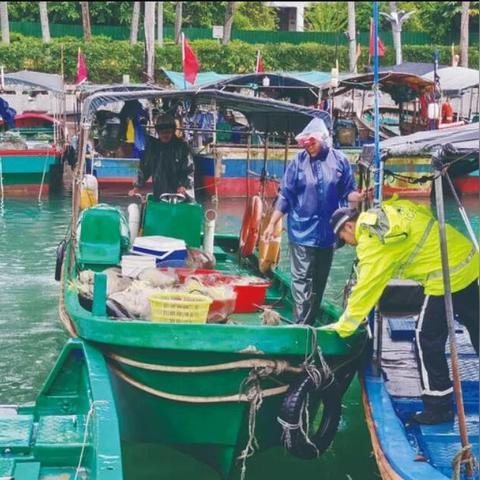 台风泰利逼近!最新动态、影响及应对之策全解析