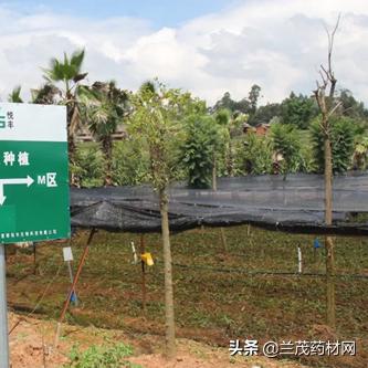 悦丰庄园最新房价信息全面解析,优质居住选择,优惠折扣更新!