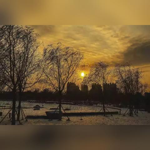 二哥军棋暗棋视频教程,战术解析与实战赏析