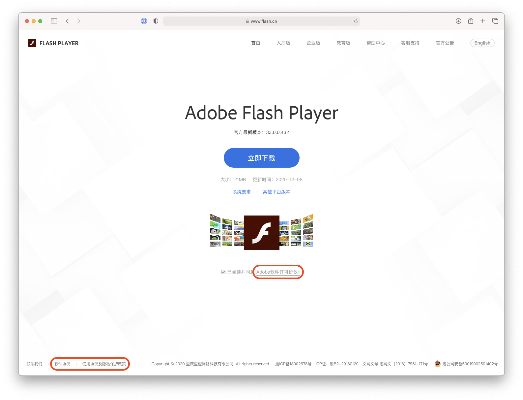 flash的版本,国产化作答解释定义|AP1_v10.870