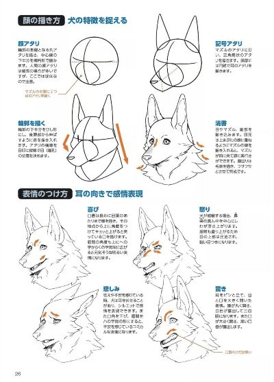 狼人 单机版同sai软件mac下载官方下载,经济性方案解析 Advance1_v7.679